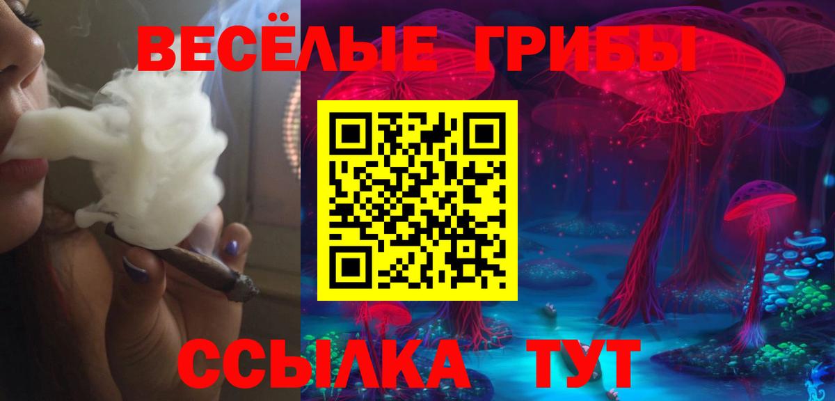 Галлюциногенные грибы мицелий  Вход с VPN  Боровичи 